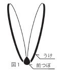 図1