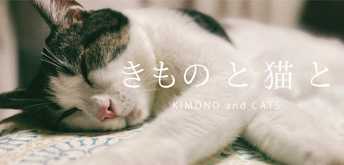 きもの と 猫 のいる 暮らし