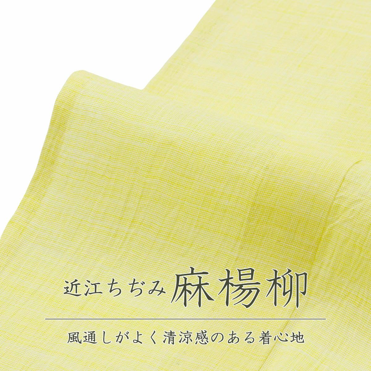 CHIKUMO-千雲-】洗える夏きもの 麻楊柳/檸檬 近江ちぢみ くるり｜着物