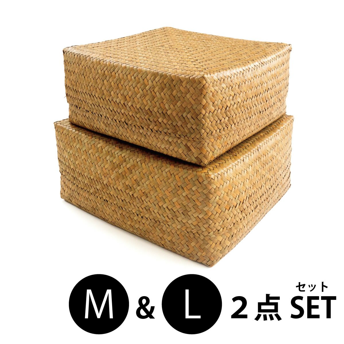 カチュー水草】ふた付きBOX M & Lサイズ 2点セット 整理かご 収納 カゴ